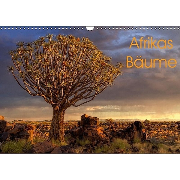 Afrikas Bäume (Wandkalender 2017 DIN A3 quer), Michael Voß