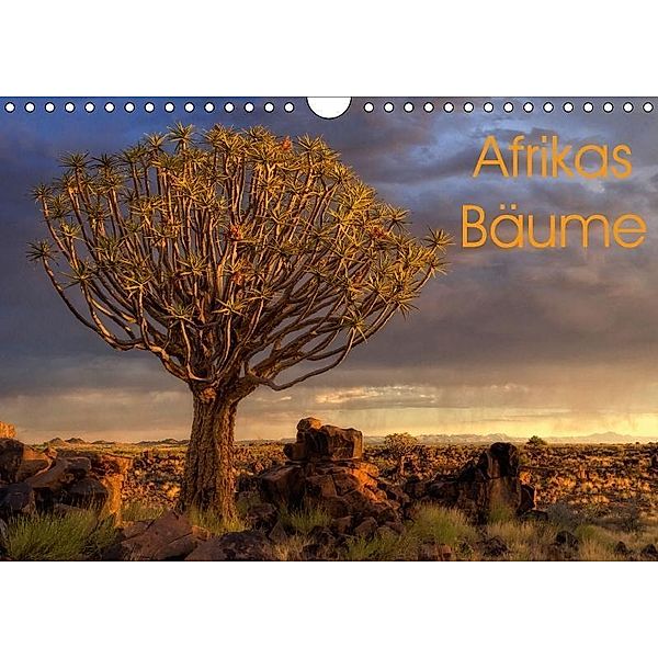 Afrikas Bäume (Wandkalender 2017 DIN A4 quer), Michael Voß