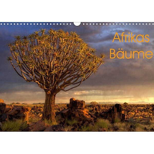 Afrikas Bäume (Wandkalender 2022 DIN A3 quer), Michael Voß