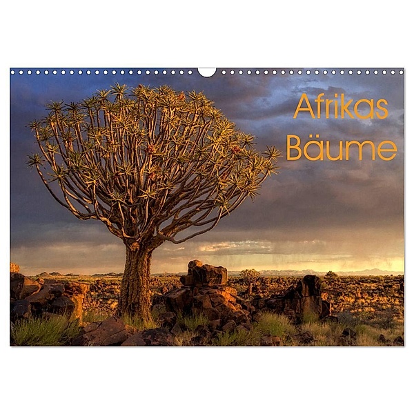 Afrikas Bäume (Wandkalender 2024 DIN A3 quer), CALVENDO Monatskalender, Michael Voss