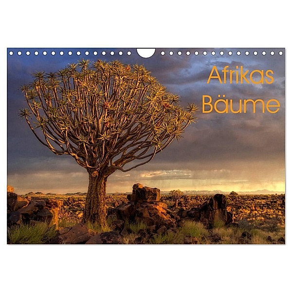 Afrikas Bäume (Wandkalender 2024 DIN A4 quer), CALVENDO Monatskalender, Michael Voss