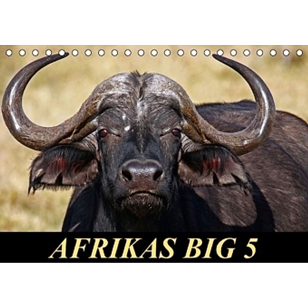 Afrikas Big 5 (Tischkalender 2015 DIN A5 quer), Wibke Woyke