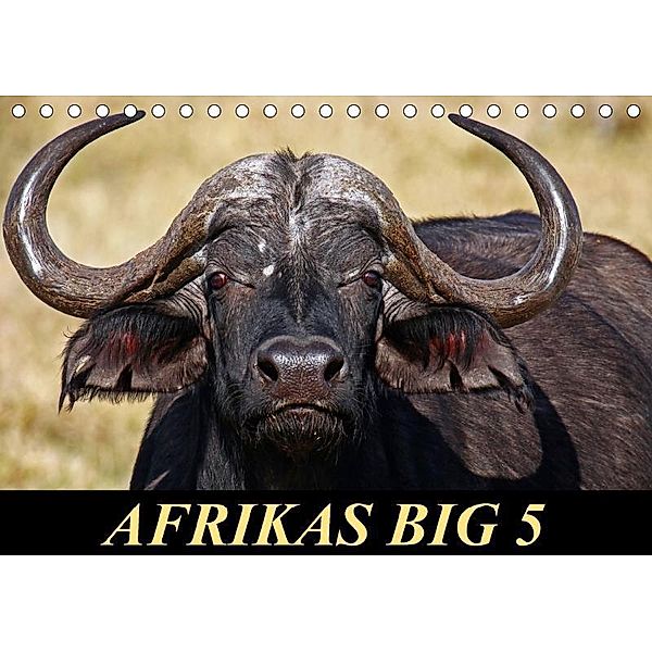 Afrikas Big 5 (Tischkalender 2017 DIN A5 quer), Wibke Woyke