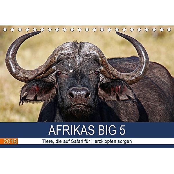 Afrikas Big 5 (Tischkalender 2018 DIN A5 quer), Wibke Woyke