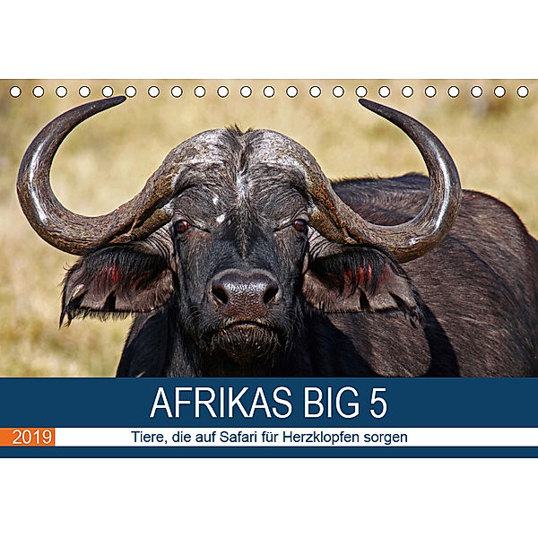 Afrikas Big 5 (Tischkalender 2019 DIN A5 quer), Wibke Woyke