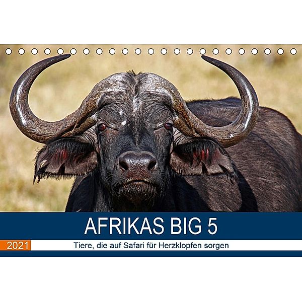 Afrikas Big 5 (Tischkalender 2021 DIN A5 quer), Wibke Woyke