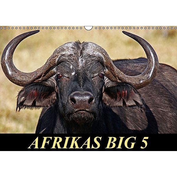 Afrikas Big 5 (Wandkalender 2014 DIN A3 quer), Wibke Woyke