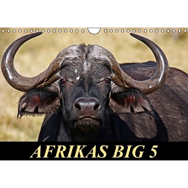 Afrikas Big 5 (Wandkalender 2015 DIN A4 quer), Wibke Woyke