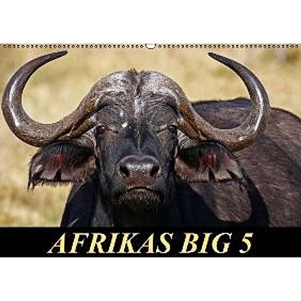 Afrikas Big 5 (Wandkalender 2016 DIN A2 quer), Wibke Woyke