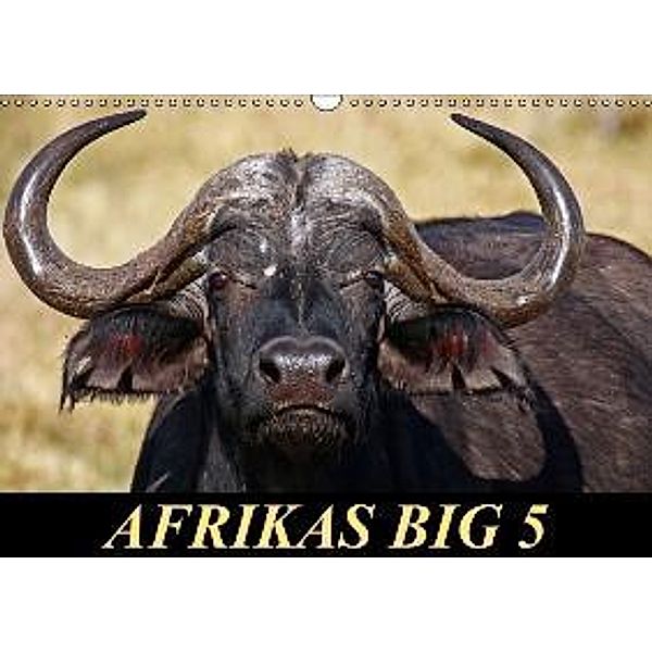 Afrikas Big 5 (Wandkalender 2016 DIN A3 quer), Wibke Woyke