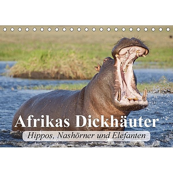 Afrikas Dickhäuter. Hippos, Nashörner und Elefanten (Tischkalender 2018 DIN A5 quer), Elisabeth Stanzer