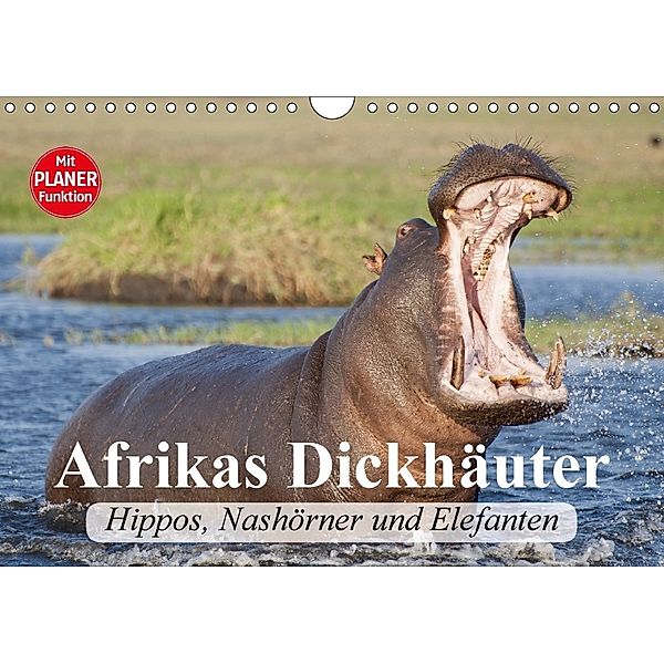 Afrikas Dickhäuter. Hippos, Nashörner und Elefanten (Wandkalender 2018 DIN A4 quer), Elisabeth Stanzer