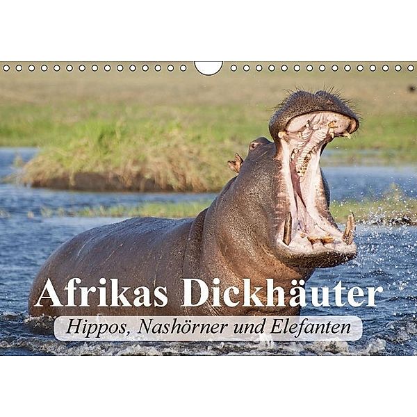 Afrikas Dickhäuter. Hippos, Nashörner und Elefanten (Wandkalender 2017 DIN A4 quer), Elisabeth Stanzer