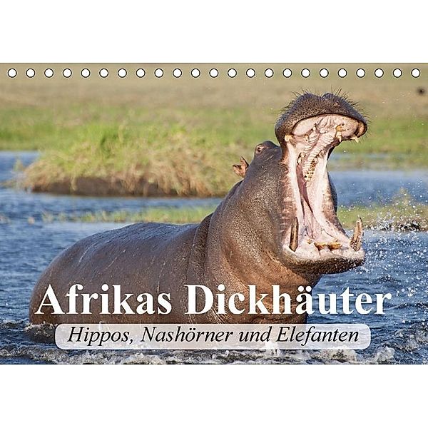 Afrikas Dickhäuter. Hippos, Nashörner und Elefanten (Tischkalender 2017 DIN A5 quer), Elisabeth Stanzer