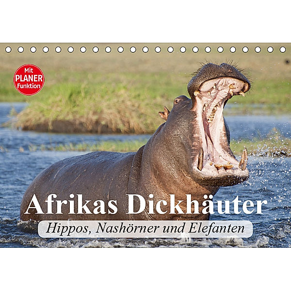 Afrikas Dickhäuter. Hippos, Nashörner und Elefanten (Tischkalender 2019 DIN A5 quer), Elisabeth Stanzer