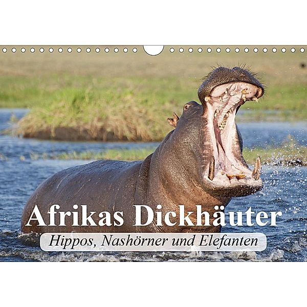 Afrikas Dickhäuter. Hippos, Nashörner und Elefanten (Wandkalender 2020 DIN A4 quer), Elisabeth Stanzer