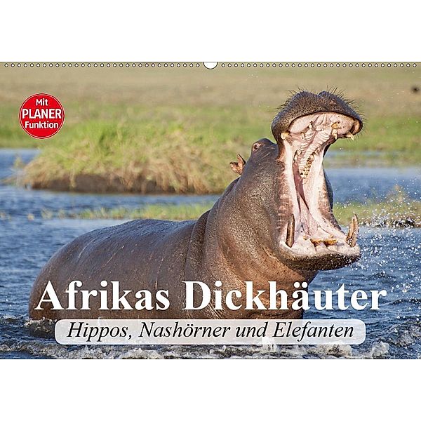 Afrikas Dickhäuter. Hippos, Nashörner und Elefanten (Wandkalender 2021 DIN A2 quer), Elisabeth Stanzer
