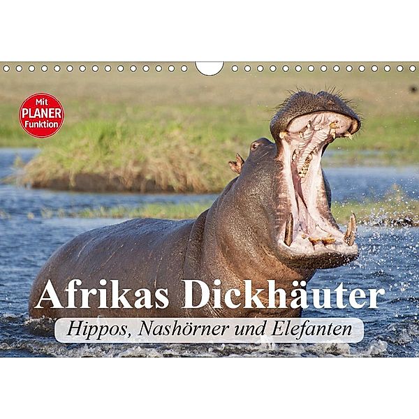 Afrikas Dickhäuter. Hippos, Nashörner und Elefanten (Wandkalender 2021 DIN A4 quer), Elisabeth Stanzer