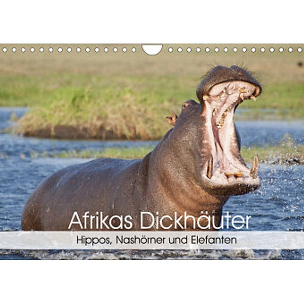 Afrikas Dickhäuter. Hippos, Nashörner und Elefanten (Wandkalender 2022 DIN A4 quer), Elisabeth Stanzer