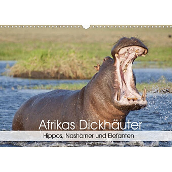 Afrikas Dickhäuter. Hippos, Nashörner und Elefanten (Wandkalender 2022 DIN A3 quer), Elisabeth Stanzer