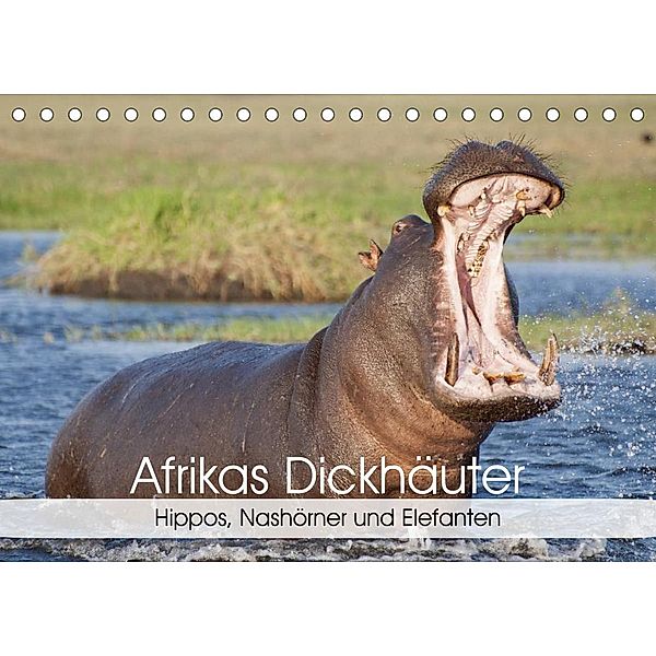 Afrikas Dickhäuter. Hippos, Nashörner und Elefanten (Tischkalender 2023 DIN A5 quer), Elisabeth Stanzer