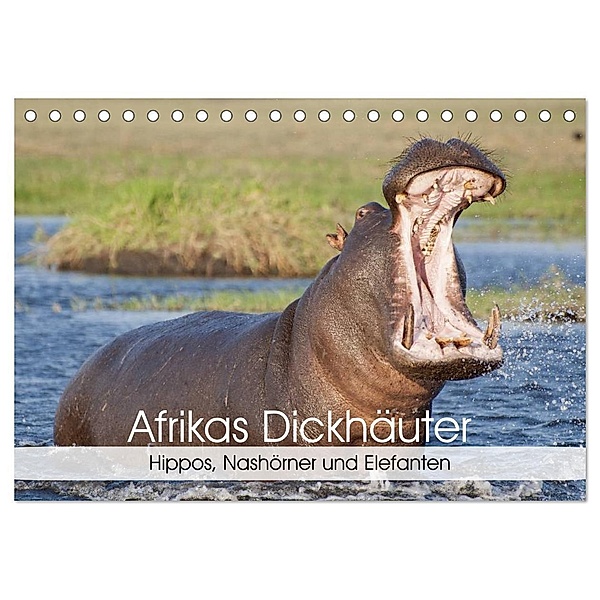 Afrikas Dickhäuter. Hippos, Nashörner und Elefanten (Tischkalender 2024 DIN A5 quer), CALVENDO Monatskalender, Elisabeth Stanzer