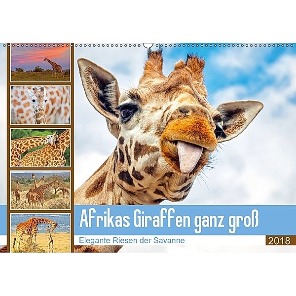 Afrikas Giraffen ganz groß: Elegante Riesen der Savanne (Wandkalender 2018 DIN A2 quer), CALVENDO