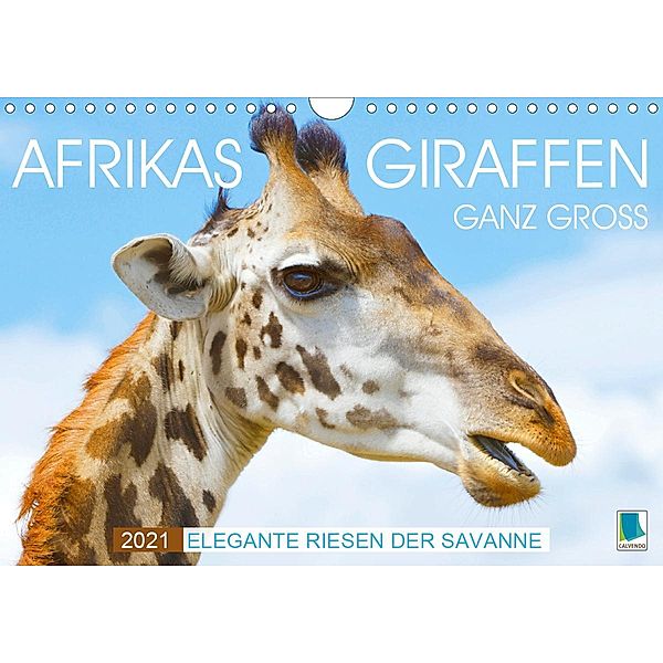 Afrikas Giraffen ganz groß: Elegante Riesen der Savanne (Wandkalender 2021 DIN A4 quer), Calvendo