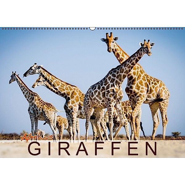 Afrikas Giraffen (Wandkalender 2014 DIN A2 quer)