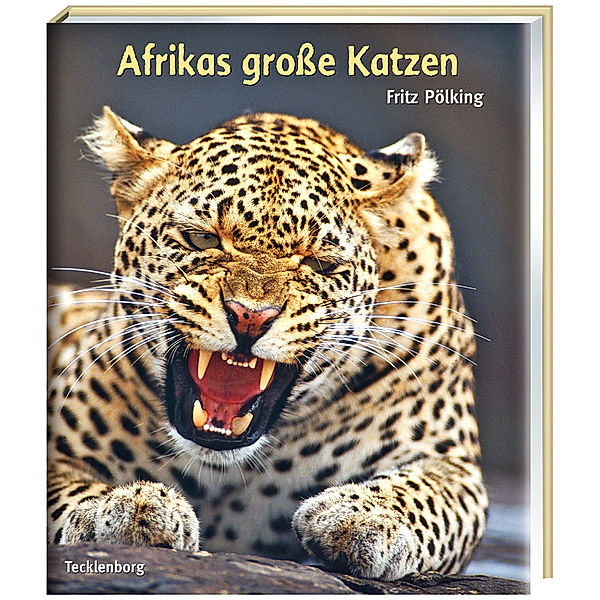 Afrikas grosse Katzen, Afrikas grosse Katzen