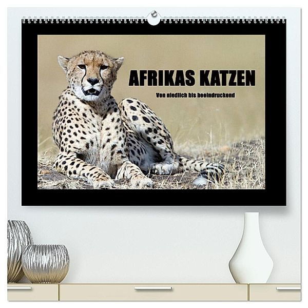 Afrikas Katzen (hochwertiger Premium Wandkalender 2024 DIN A2 quer), Kunstdruck in Hochglanz, Angelika Stern