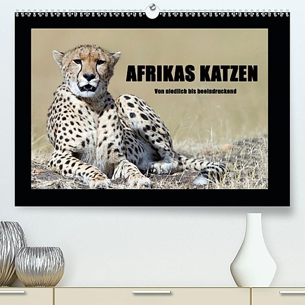 Afrikas Katzen (Premium-Kalender 2020 DIN A2 quer), Angelika Stern