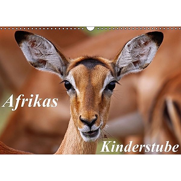 Afrikas Kinderstube (Wandkalender 2014 DIN A3 quer), Wibke Woyke