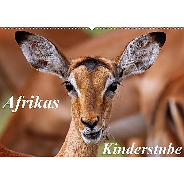 Afrikas Kinderstube (Wandkalender 2018 DIN A2 quer), Wibke Woyke