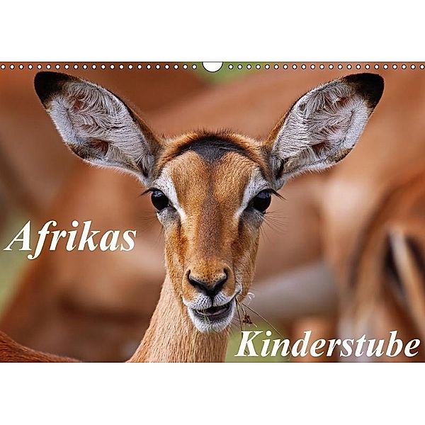 Afrikas Kinderstube (Wandkalender 2018 DIN A3 quer), Wibke Woyke