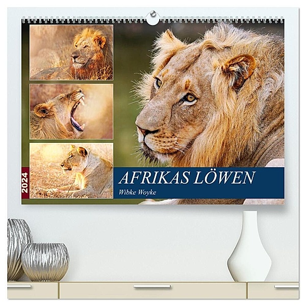Afrikas Löwen 2024 (hochwertiger Premium Wandkalender 2024 DIN A2 quer), Kunstdruck in Hochglanz, Wibke Woyke
