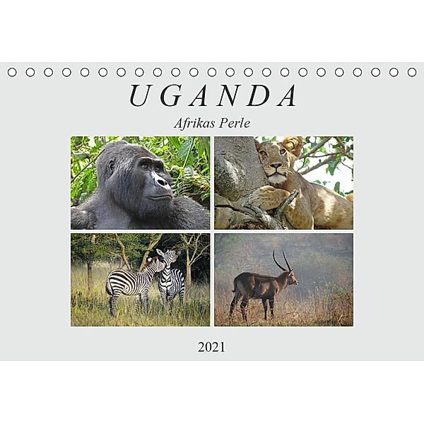 Afrikas Perle Uganda (Tischkalender 2021 DIN A5 quer), Flori0