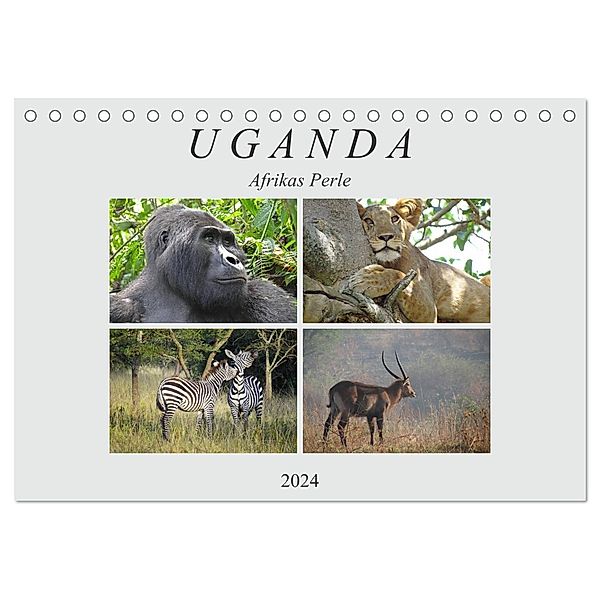 Afrikas Perle Uganda (Tischkalender 2024 DIN A5 quer), CALVENDO Monatskalender, Flori0