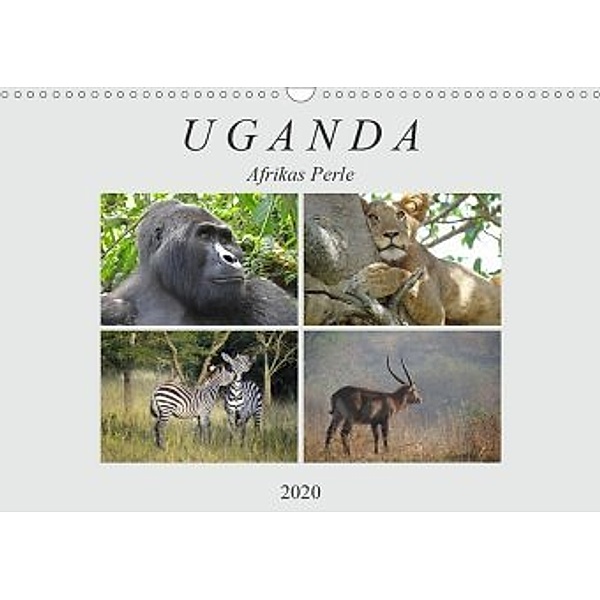 Afrikas Perle Uganda (Wandkalender 2020 DIN A3 quer)