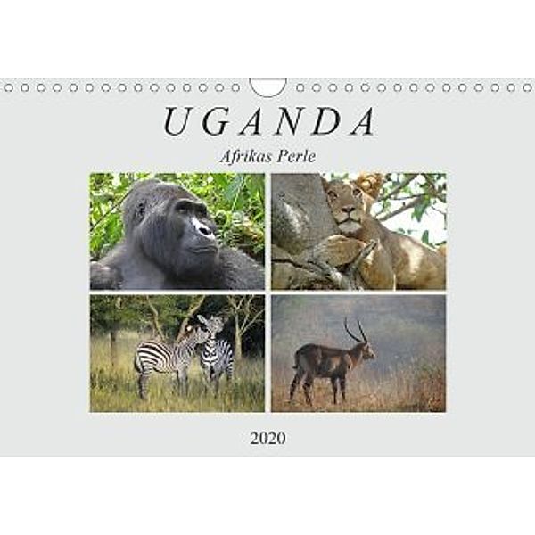 Afrikas Perle Uganda (Wandkalender 2020 DIN A4 quer)