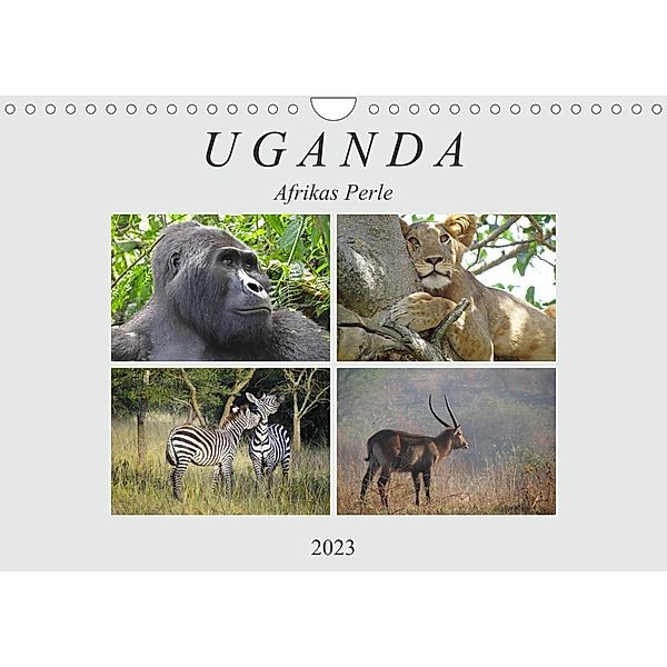 Afrikas Perle Uganda (Wandkalender 2023 DIN A4 quer), Flori0