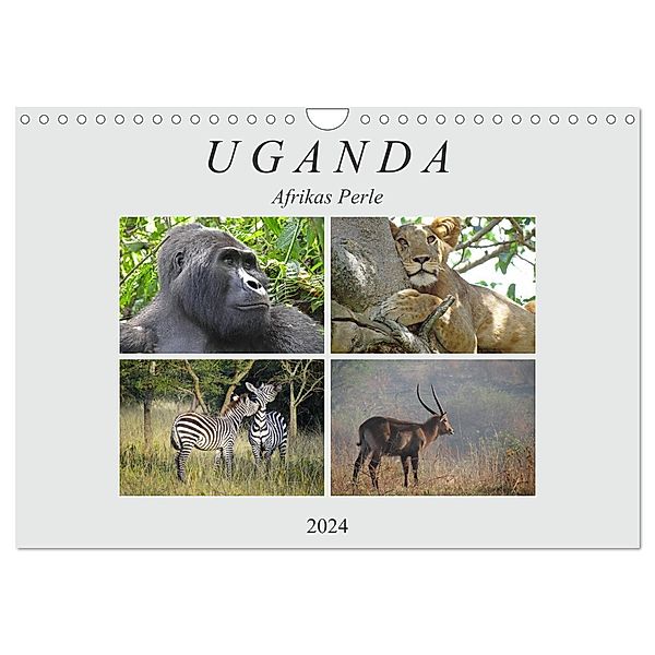 Afrikas Perle Uganda (Wandkalender 2024 DIN A4 quer), CALVENDO Monatskalender, Flori0