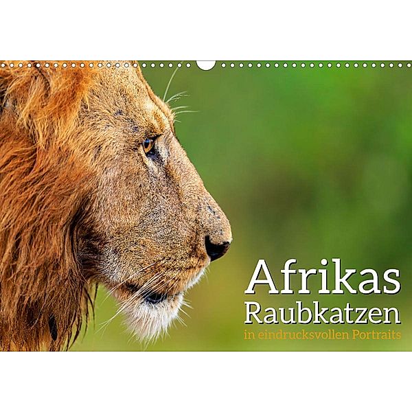 Afrikas Raubkatzen in eindrucksvollen Portraits (Wandkalender 2023 DIN A3 quer), Dr. Gerd-Uwe Neukamp