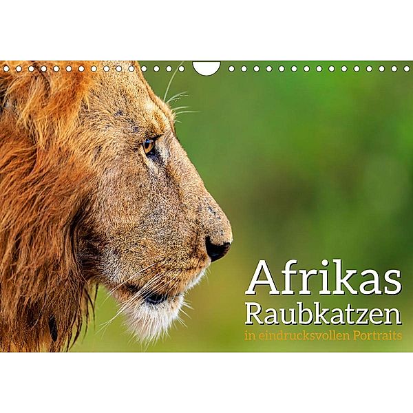 Afrikas Raubkatzen in eindrucksvollen Portraits (Wandkalender 2023 DIN A4 quer), Dr. Gerd-Uwe Neukamp