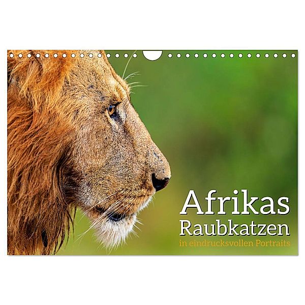 Afrikas Raubkatzen in eindrucksvollen Portraits (Wandkalender 2024 DIN A4 quer), CALVENDO Monatskalender, Dr. Gerd-Uwe Neukamp