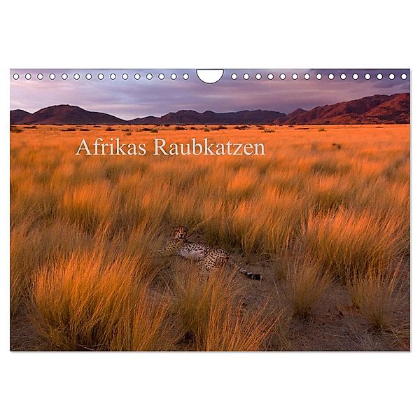 Afrikas Raubkatzen (Wandkalender 2024 DIN A4 quer), CALVENDO Monatskalender, Michael Voss