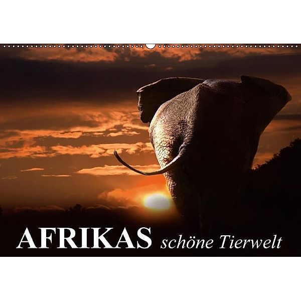 Afrikas schöne Tierwelt (Wandkalender 2017 DIN A2 quer), Elisabeth Stanzer