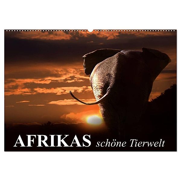Afrikas schöne Tierwelt (Wandkalender 2024 DIN A2 quer), CALVENDO Monatskalender, Elisabeth Stanzer