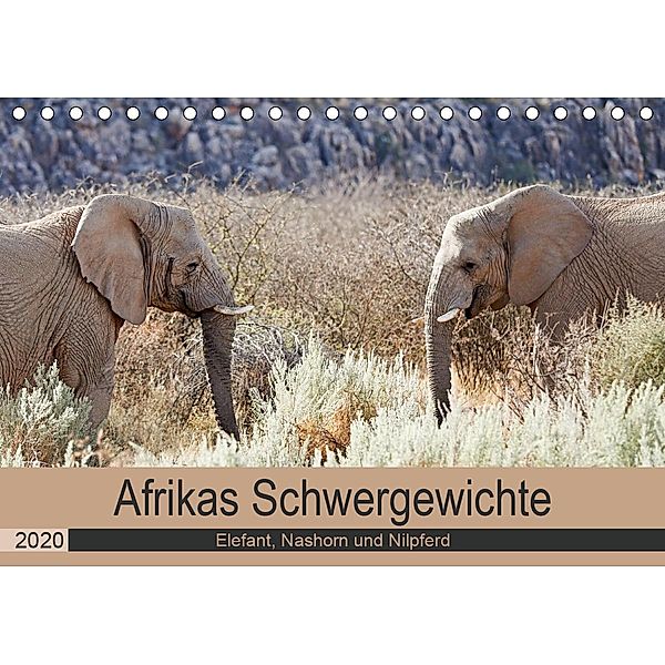 Afrikas Schwergewichte Elefant, Nashorn und Nilpferd (Tischkalender 2020 DIN A5 quer), Britta Kärcher