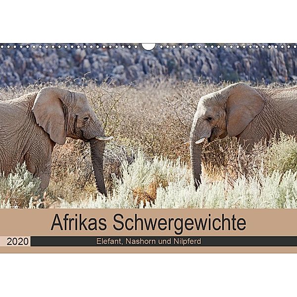 Afrikas Schwergewichte Elefant, Nashorn und Nilpferd (Wandkalender 2020 DIN A3 quer), Britta Kärcher